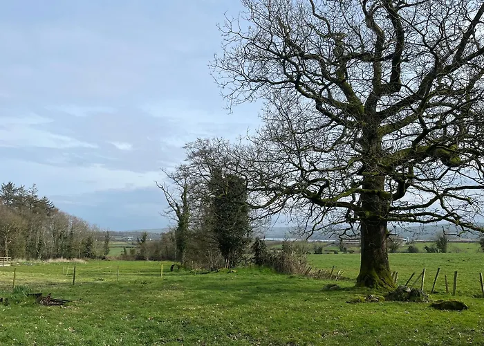 Donegal With Hot Tub Option Chalet *